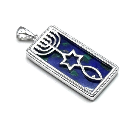 Sterling Silver With Stone of Israel Grafted In Pendant